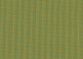 Solids Lichen 3970