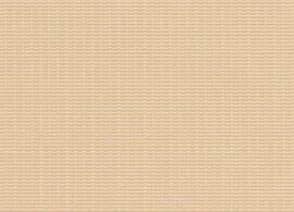 SWK6 Champagne M711