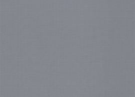 SWK15 Silver M652