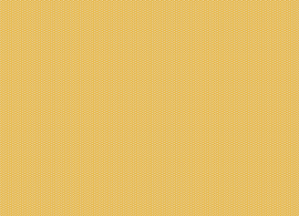 Smart XL Biscuit 2203