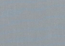 Diklon 29 Argent 101 Diklon 29 Argent 101