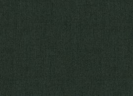 Cliff Fir B131