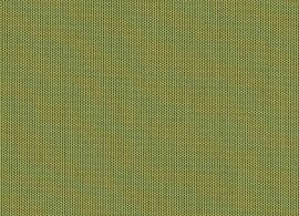 Solids Lichen 3970