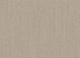 Solids Papyrus P055