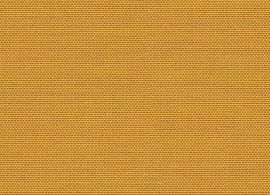 Solids Curcuma P106