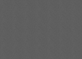 Sur Last Graphite 3899 