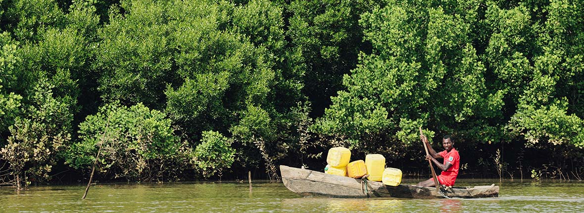 Sunbrella s'engage pour la restauration des mangroves avec Planète Urgence