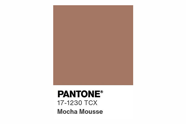 Pantone Mocha Mousse