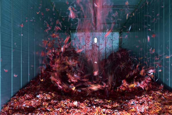 Tri Recycle My Dickson